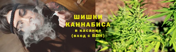 стафф Мегион