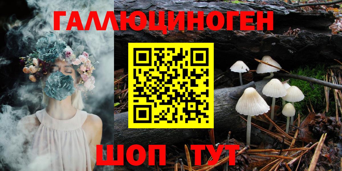 Сибай  Псилоцибиновые грибы мухоморы  Вход с VPN 